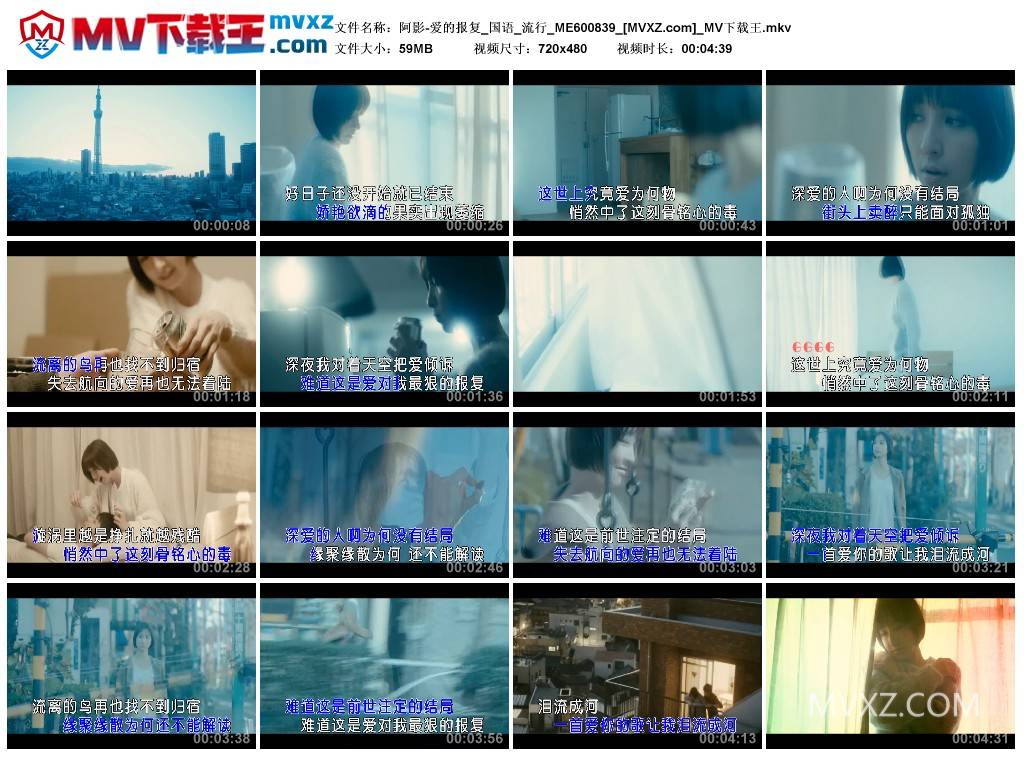 阿影-爱的报复_国语_流行_ME600839